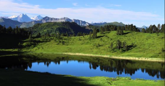 Landwirtschaft und Wald