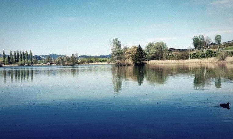 Amt für Natur, Jagd und Fischerei