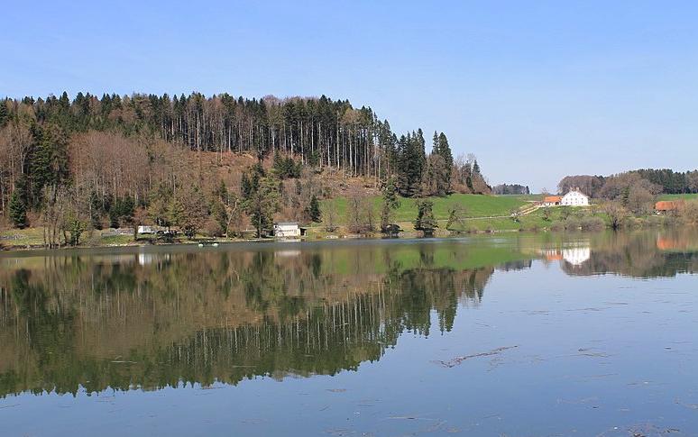 Direction générale de l'environnement