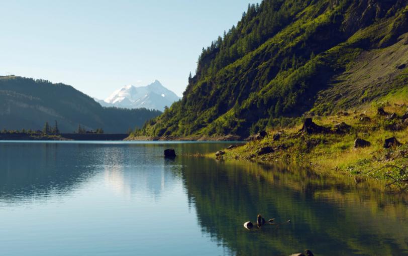 Dienststelle für Jagd, Fischerei und Wildtiere