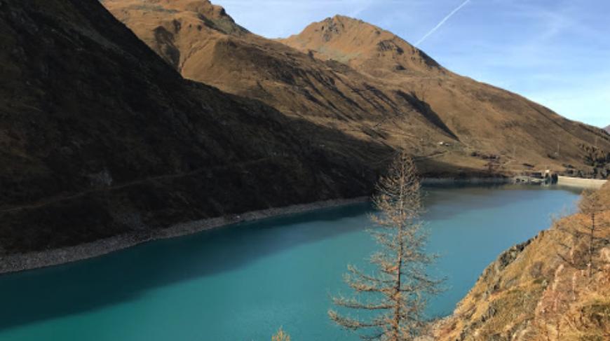 Dienststelle für Jagd, Fischerei und Wildtiere