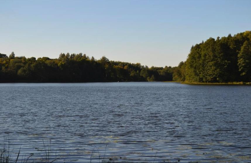 „VILNIUS GRAND RESORT"