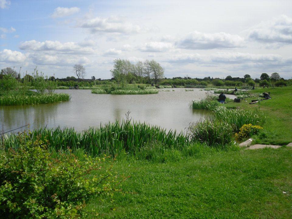Coppice Lane Fishery