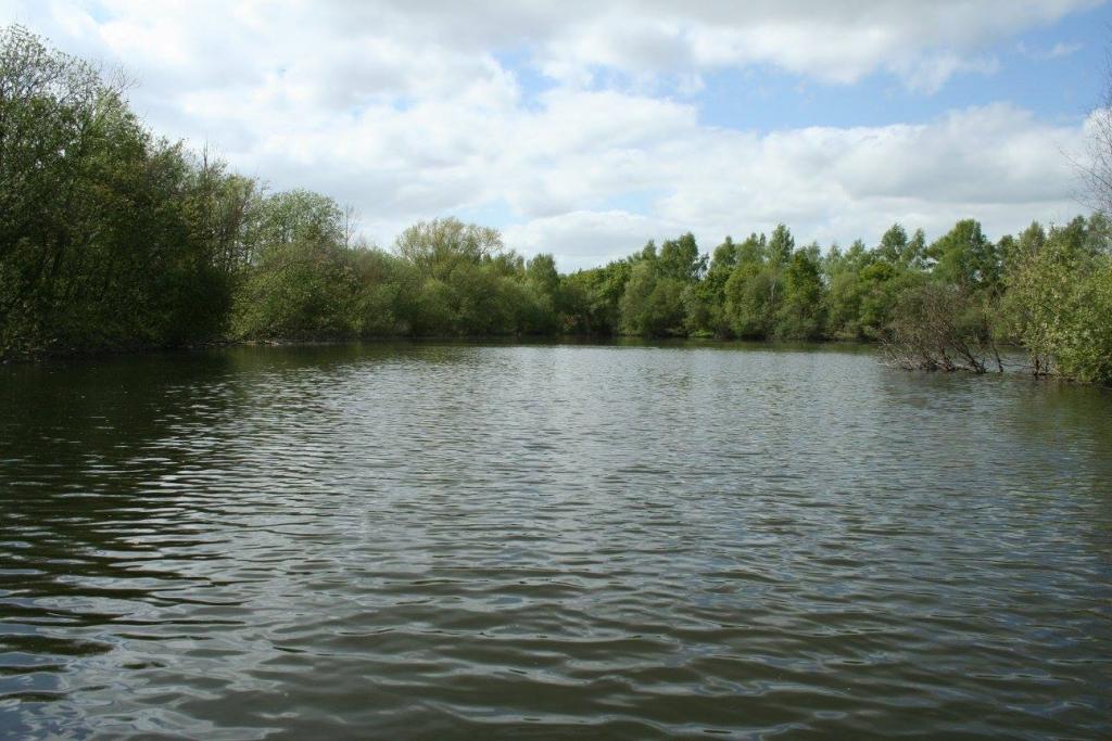 Stubby Leas Carp Fishery