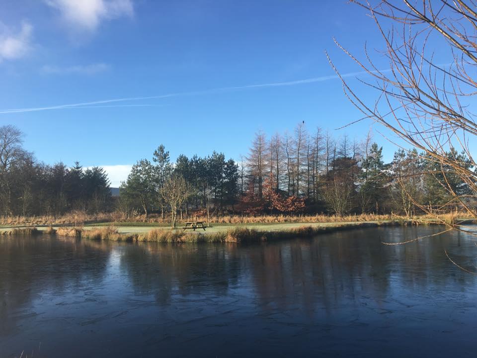 Bessy Beck Trout Fishery