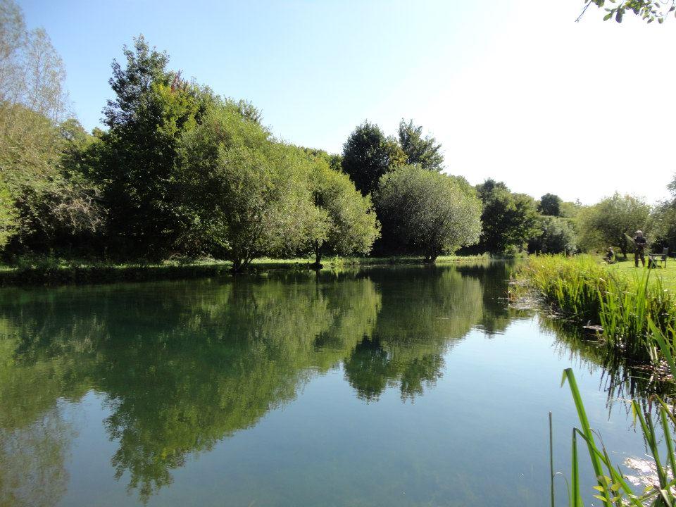 Chalk Springs Trout Fishery