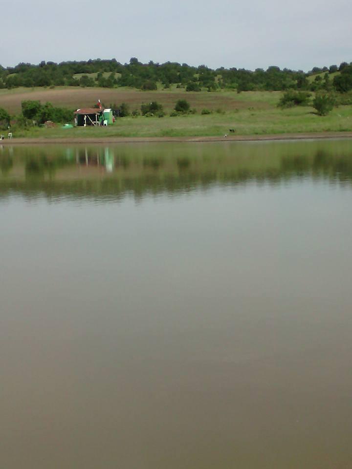 Видина кория