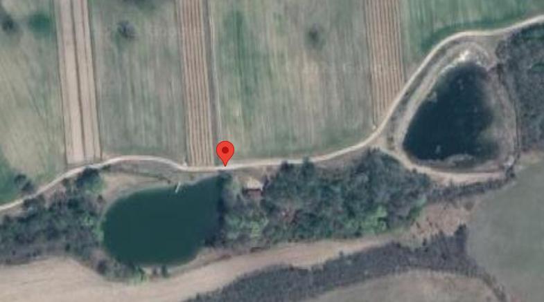 Златна рибка с. Енина