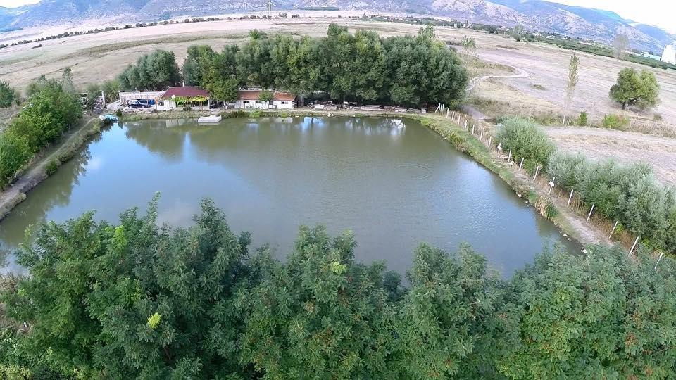 Лион Калояново - Тополчане