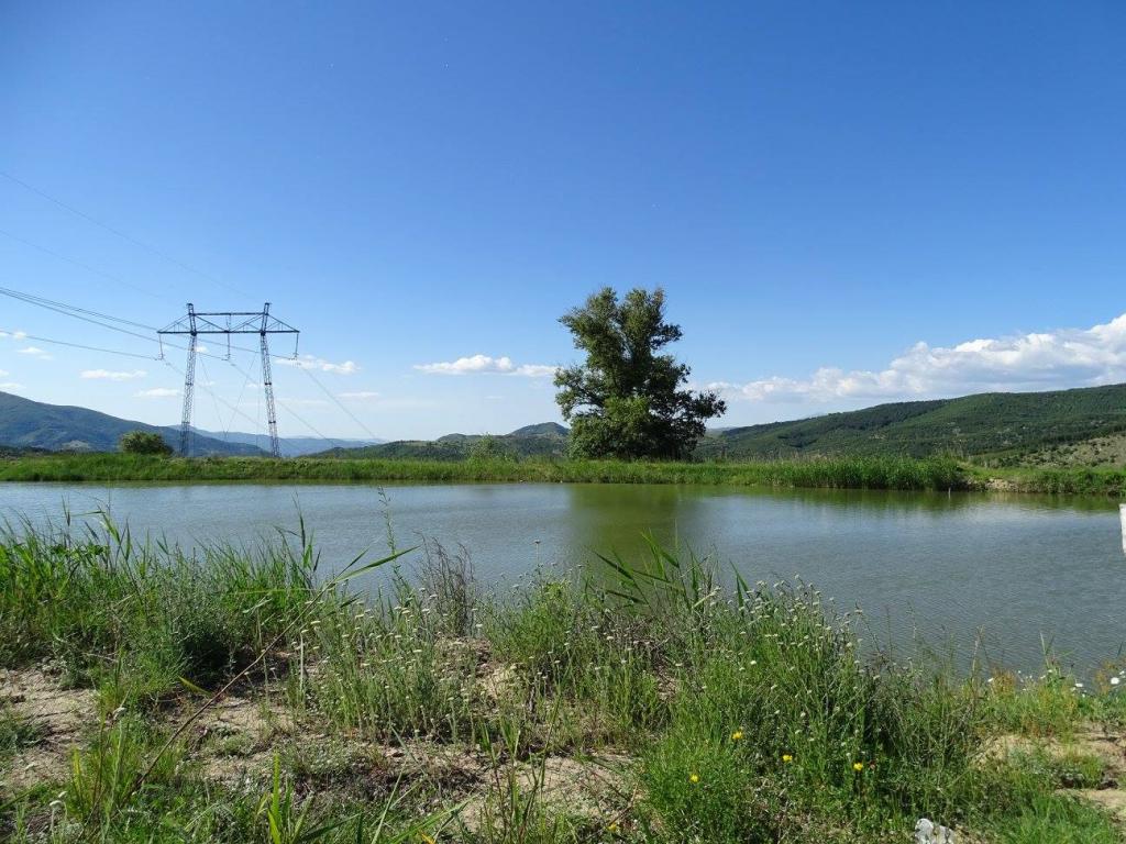 Стара Кресна