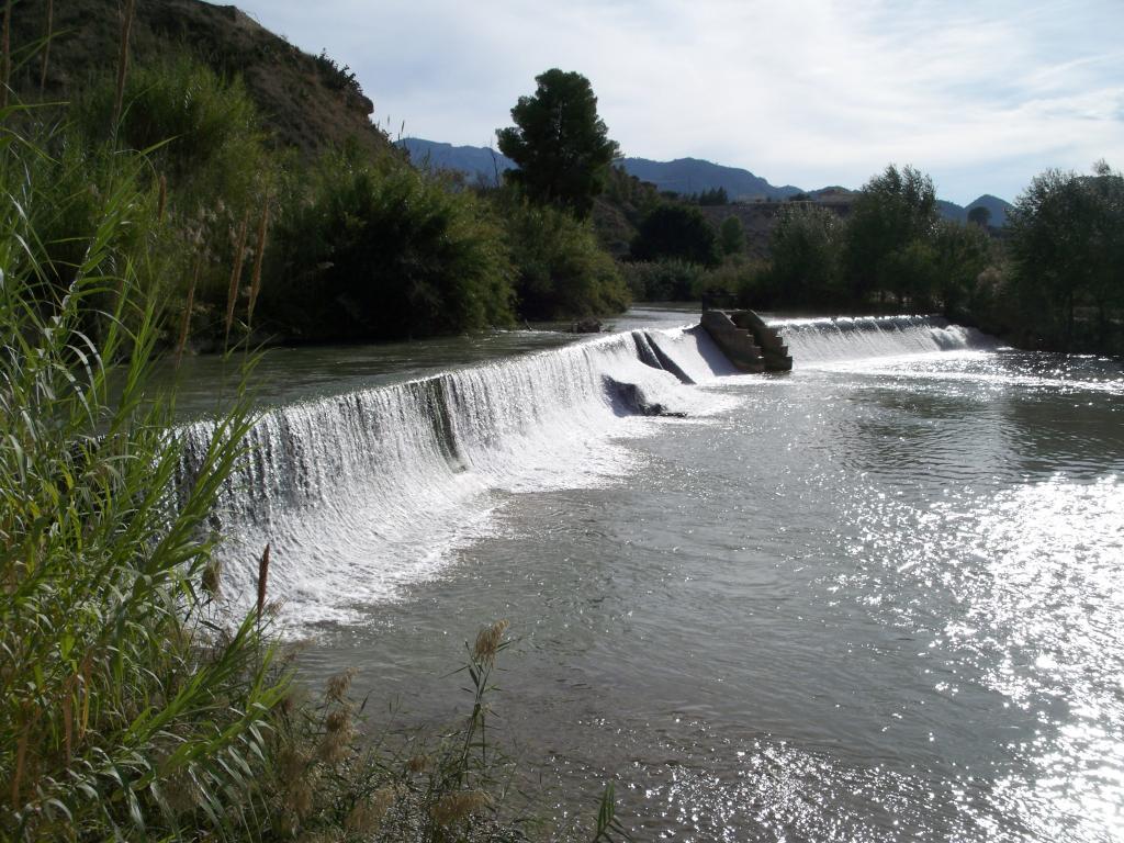 Coto el jarral (Rio Segura)