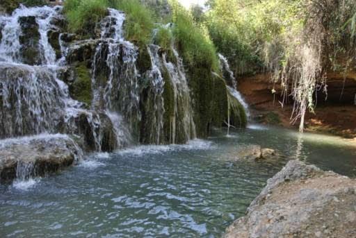 Coto Vinalopó (Rio Vinalopó)