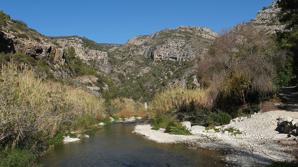 Coto Lorcha (Río Serpis)