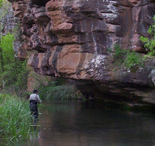 Coto Ventosa (Rio Gallo)