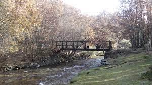 Coto Montes Claros (Rio Jarama)