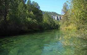 Coto Peralejos (Rio Tajo)