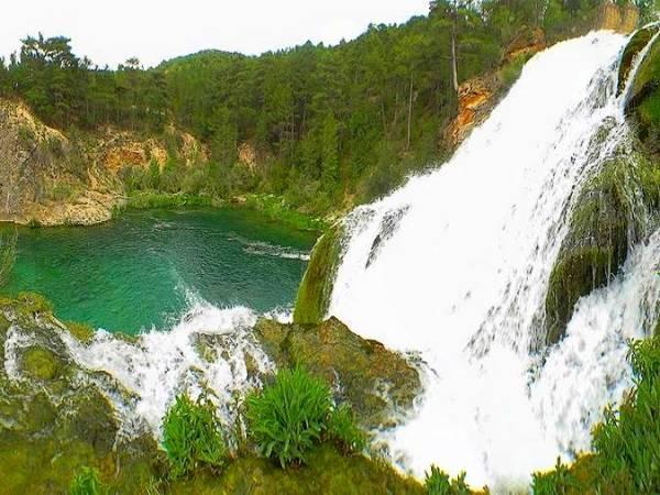 Coto Poveda de la Sierra (Rio Tajo)