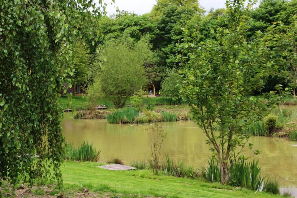 Springwood Fisheries