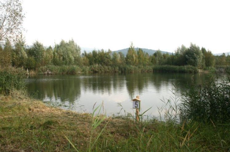 Chlumecká rybářská s.r.o. - Ďáblův rybník