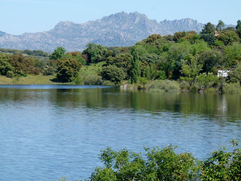 Coto el Vellón (Embalse de Pedrezuela)