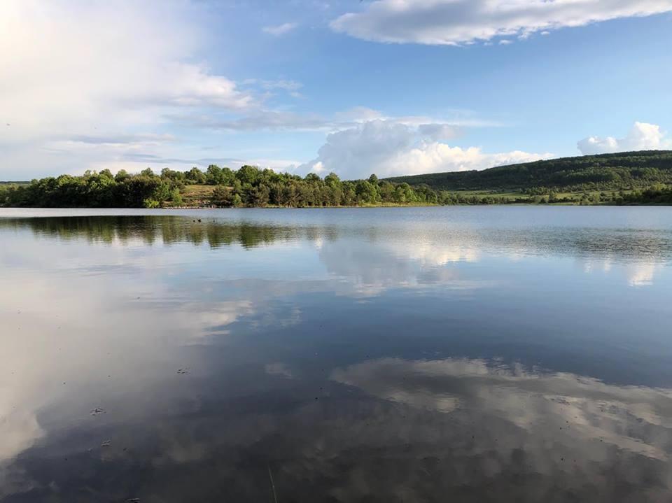 Тараторското