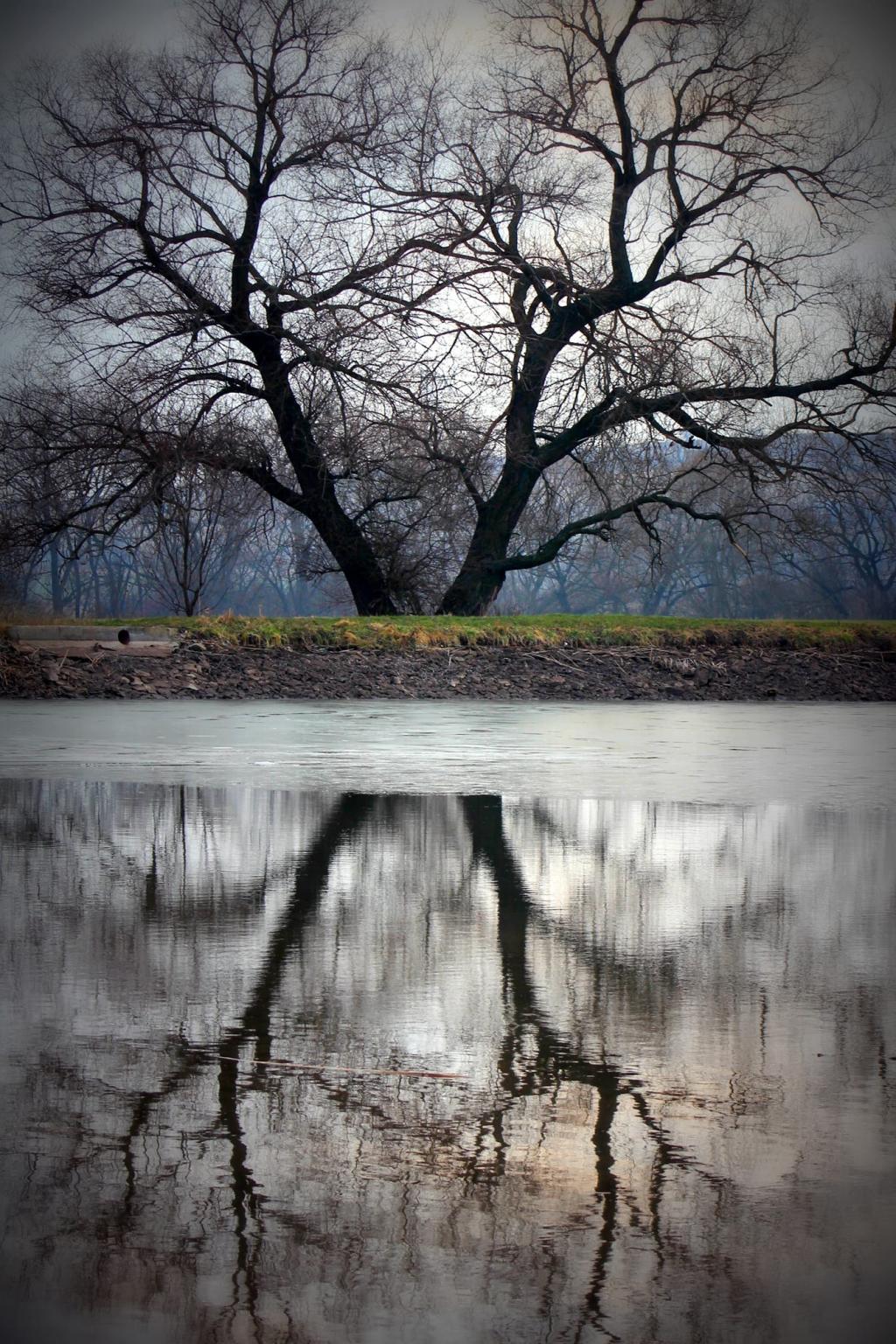 Червена Могила