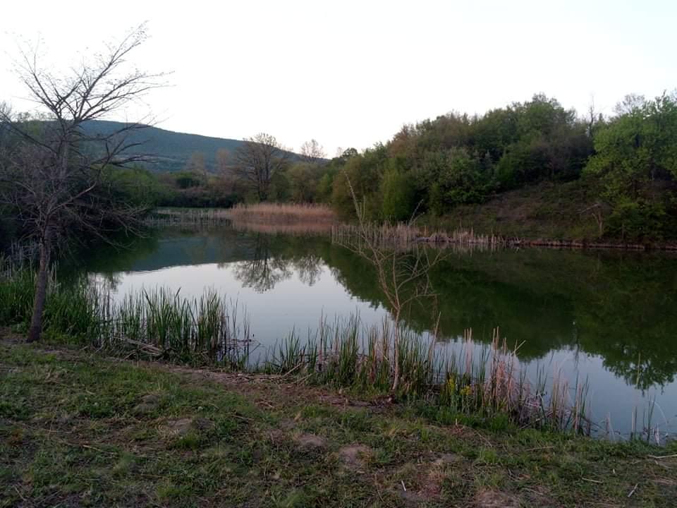 Зелево Перо