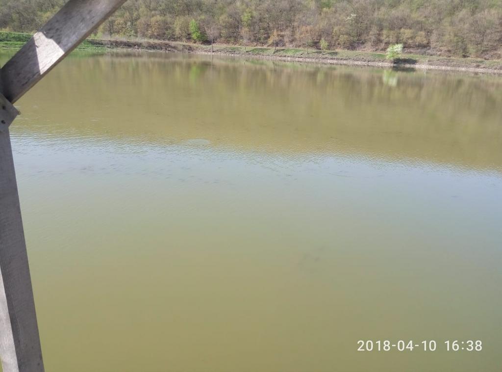 Радева Чешма