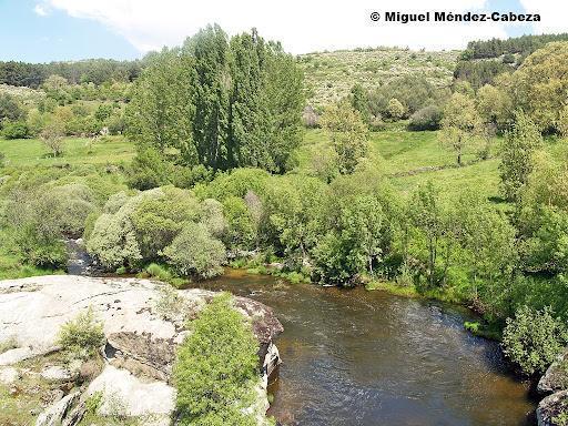 Coto Hoyacasero (Rio Alberche)