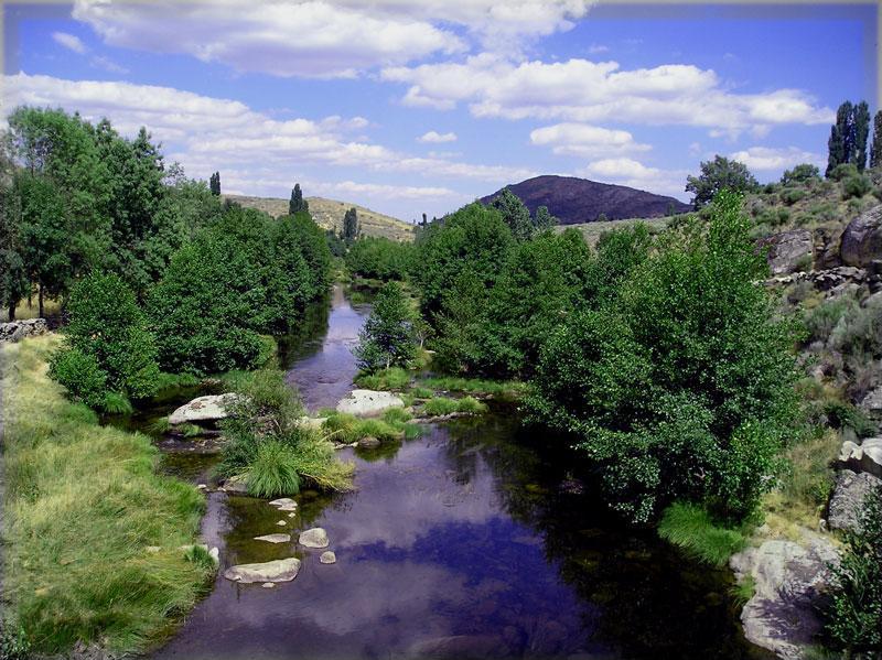Coto Navalosa (Rio Alberche)