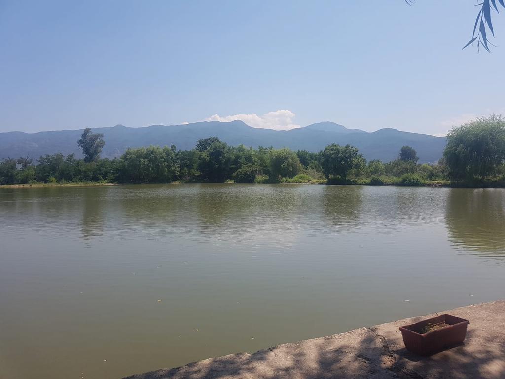 Спортен Риболов при Ильо