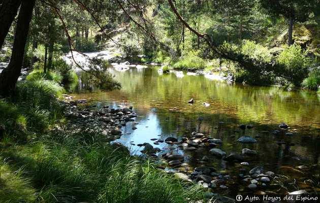 Coto Hoyos del Espino