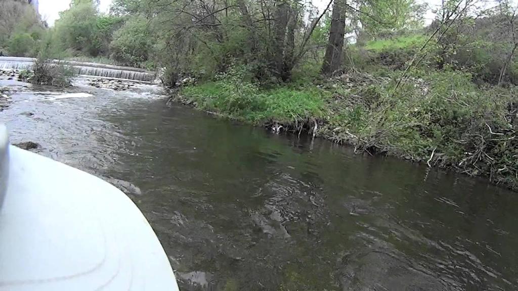 Coto Santurde (Rio Trueba)