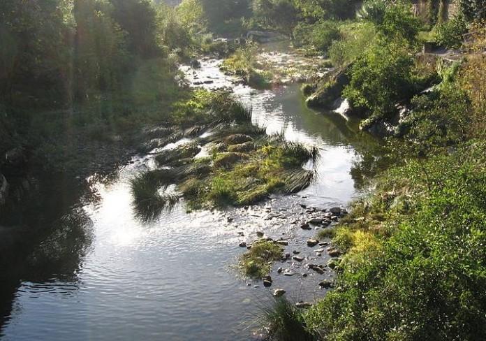 Coto Valle de Mena (Rio Cadagua)