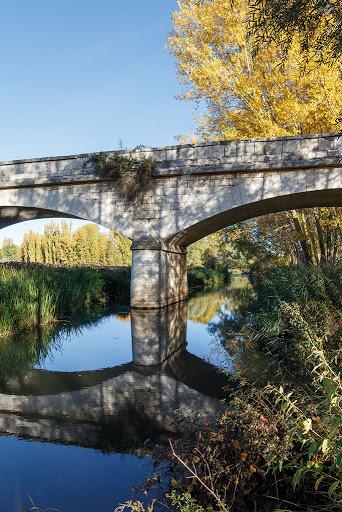 Coto Hoyales (Rio Riaza)