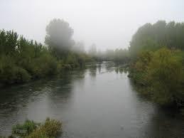 Coto Gradefes (Rio Esla)