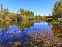 Coto Pesquera (Rio Esla)