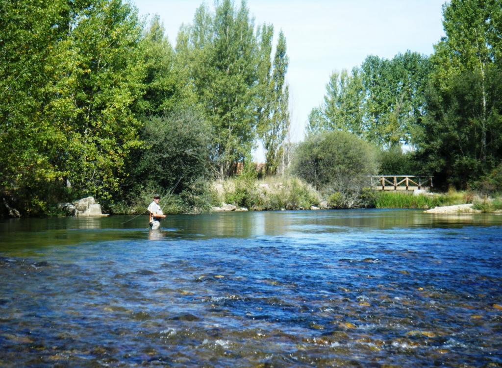 Coto El Condado I (Rio Porma)