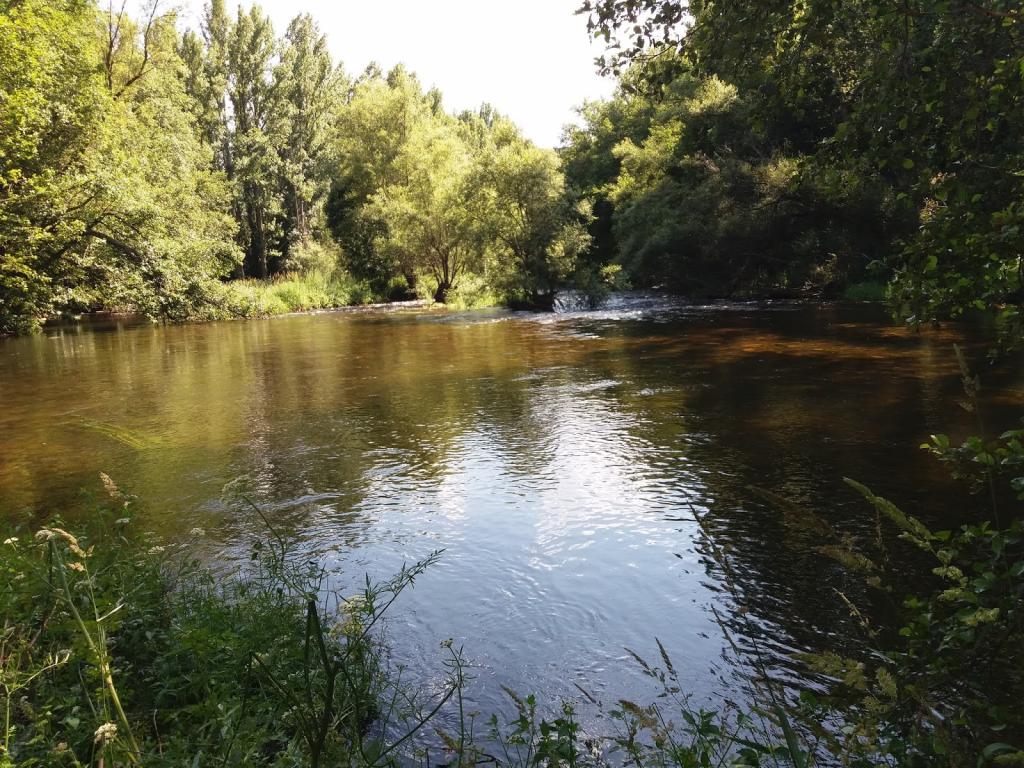Coto La Omañuela (Rio Omaña)