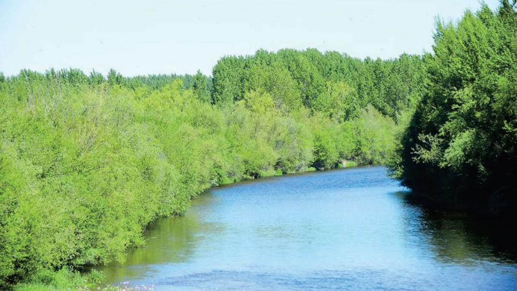 AREC Marne (Rio Esla y Porma)