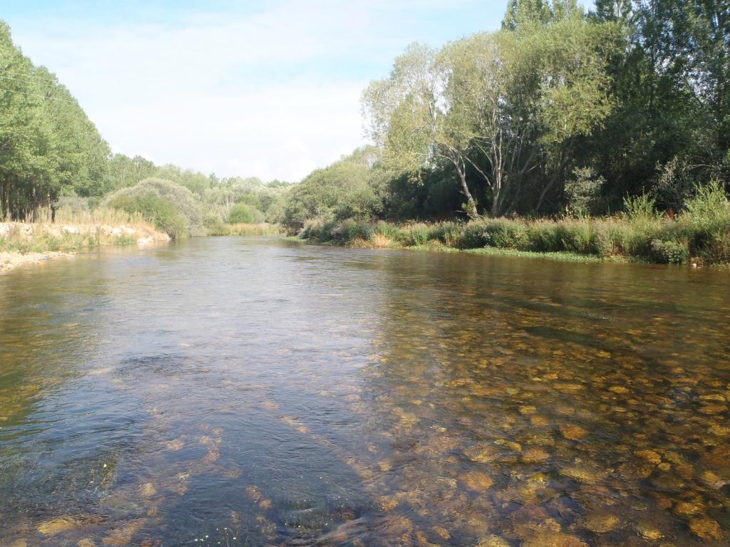 Coto Pino Del Río (Río Carrión)
