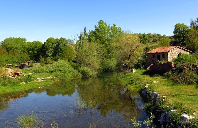 Coto Ventanilla (Río Rivera)