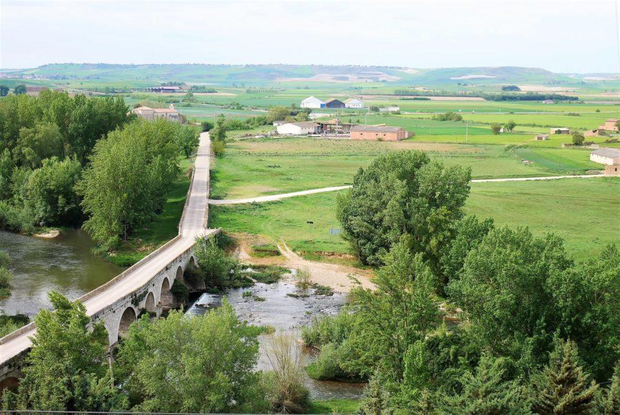 Coto Palenzuela (Río Arlanza)