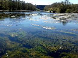 Coto El Chorrón (Río Tormes)
