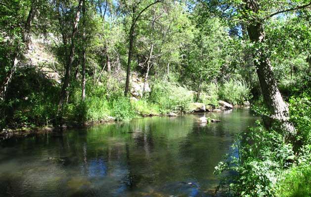 Coto La Serreta (Río Cega)