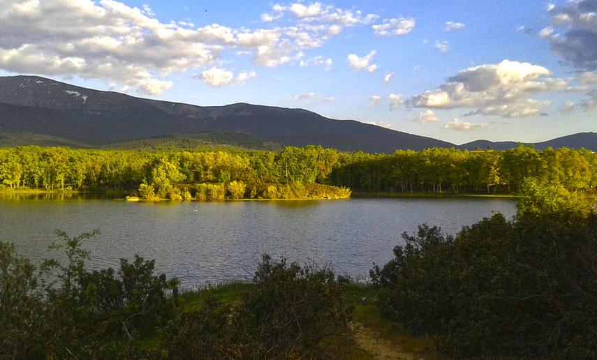 AREC Pontón Alto (Embalse de Pontón Alto)