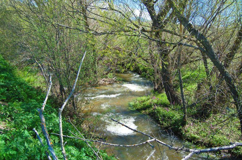 AREC Molino La Villa (Río Moros)