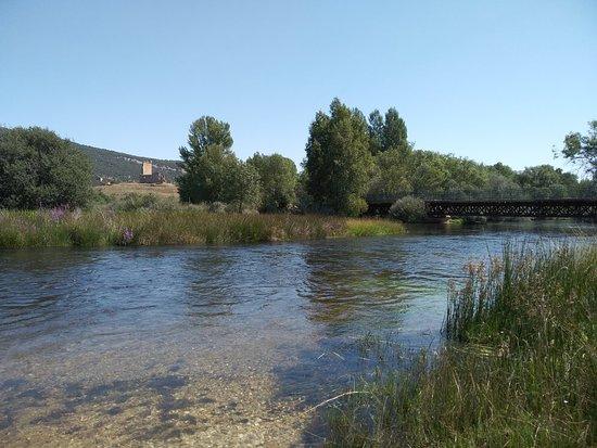 Coto Langosto (Río Duero)