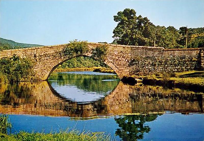 Coto Covaleda (Río Duero)