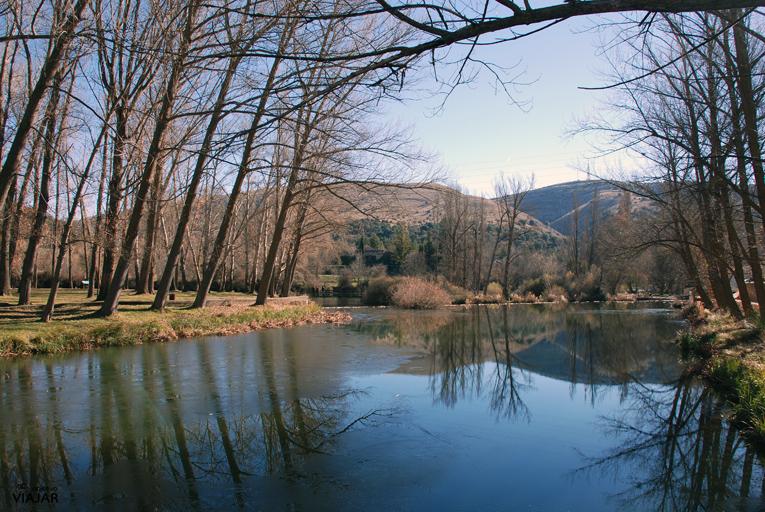 Coto Dombellas (Río Duero)